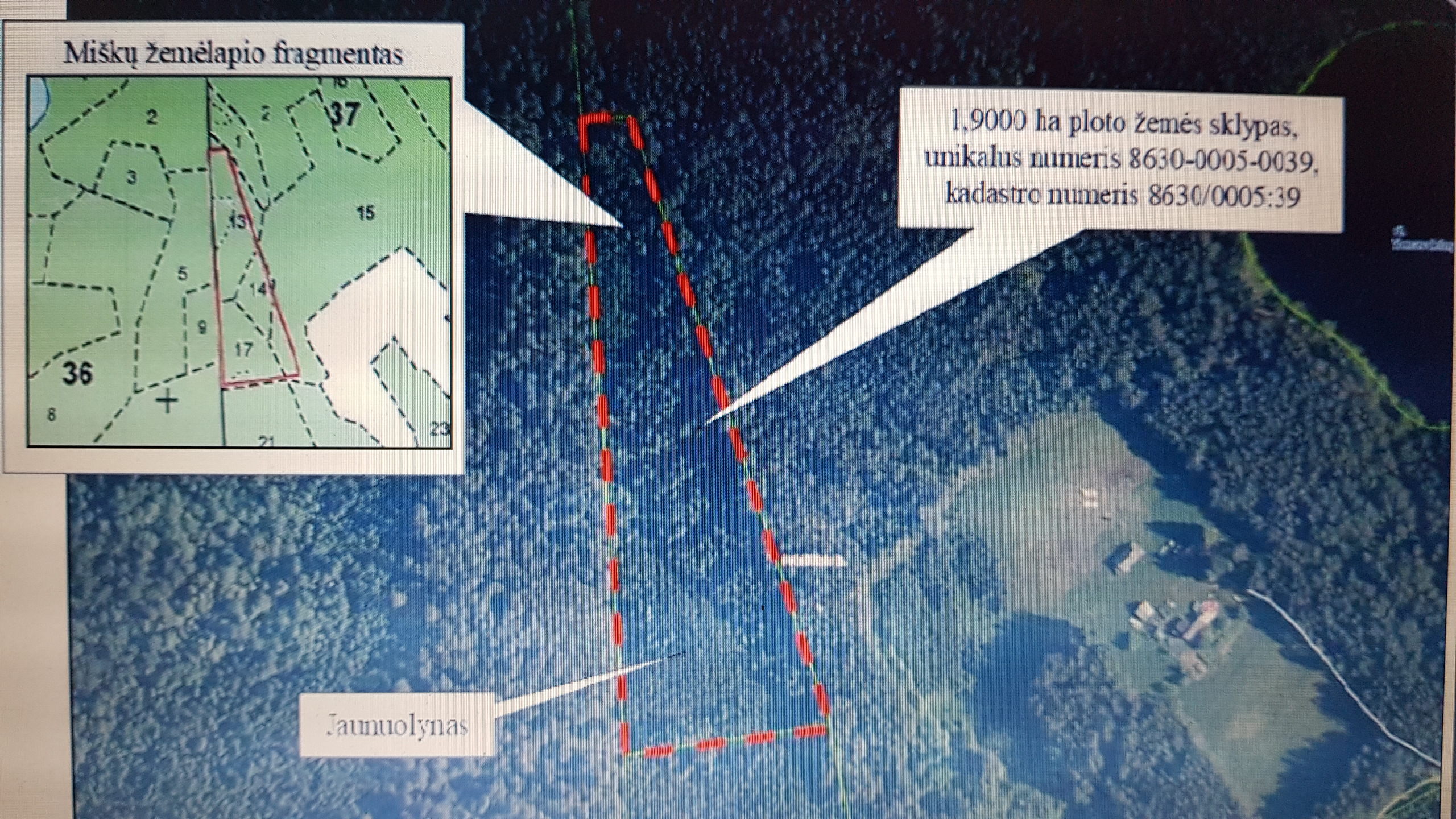 Read more about the article 1.9ha Miškas Švenčionių raj. už 100metrų  ežeras Peršokšnai. Kaina 6500eu.