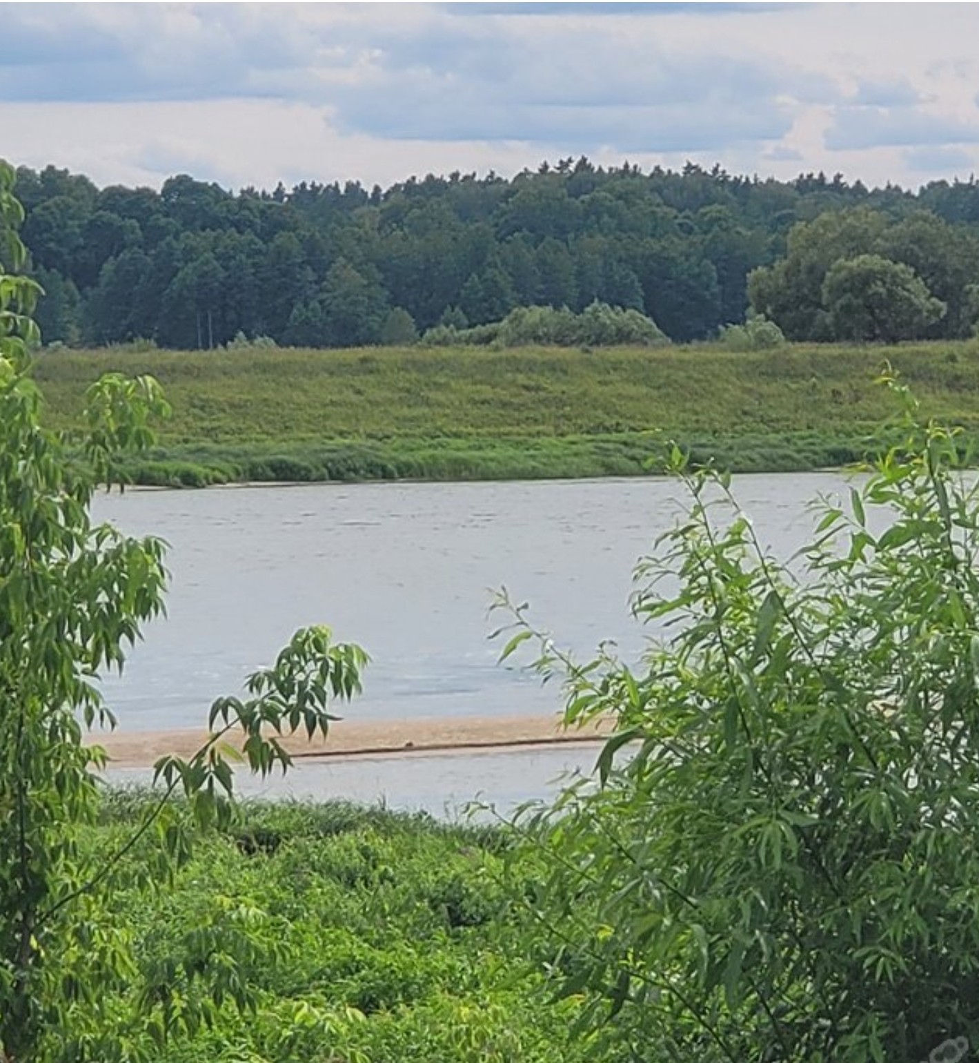 Read more about the article Nemuno pakrantėje 4.7ha sklypas. Jurbarko raj.,sklypo dalis Miškas pagrinde Pušynas, nuostabi vieta !!!